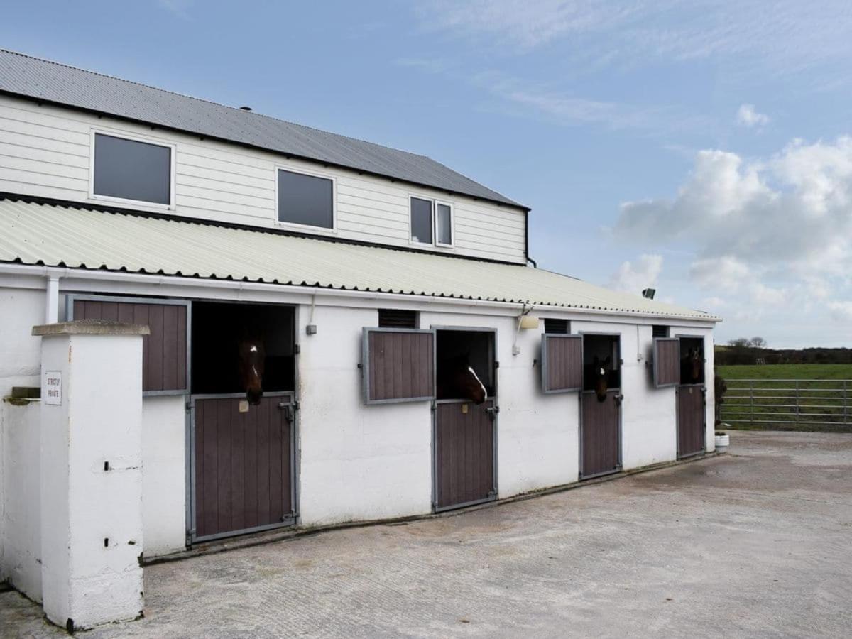 Rose Cottage Captivating 1-Bed Cottage In Bangor エクステリア 写真
